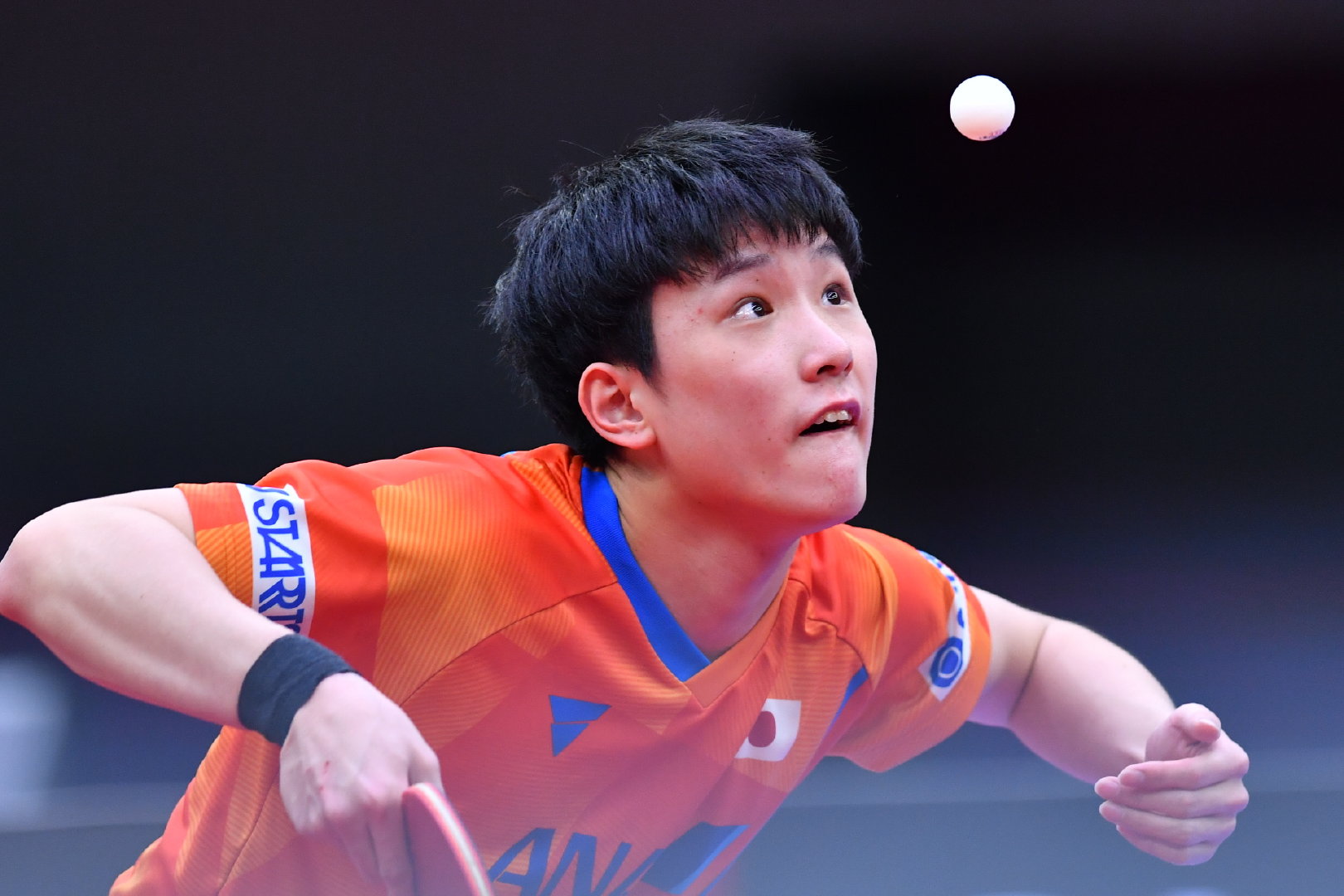 张本智和4-0加多斯(新华社)_高清图集_新浪网