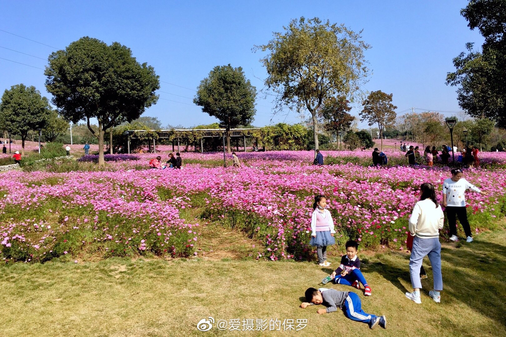 武汉的秋天·龙灵山生态公园(坐标:湖北武汉蔡甸)
