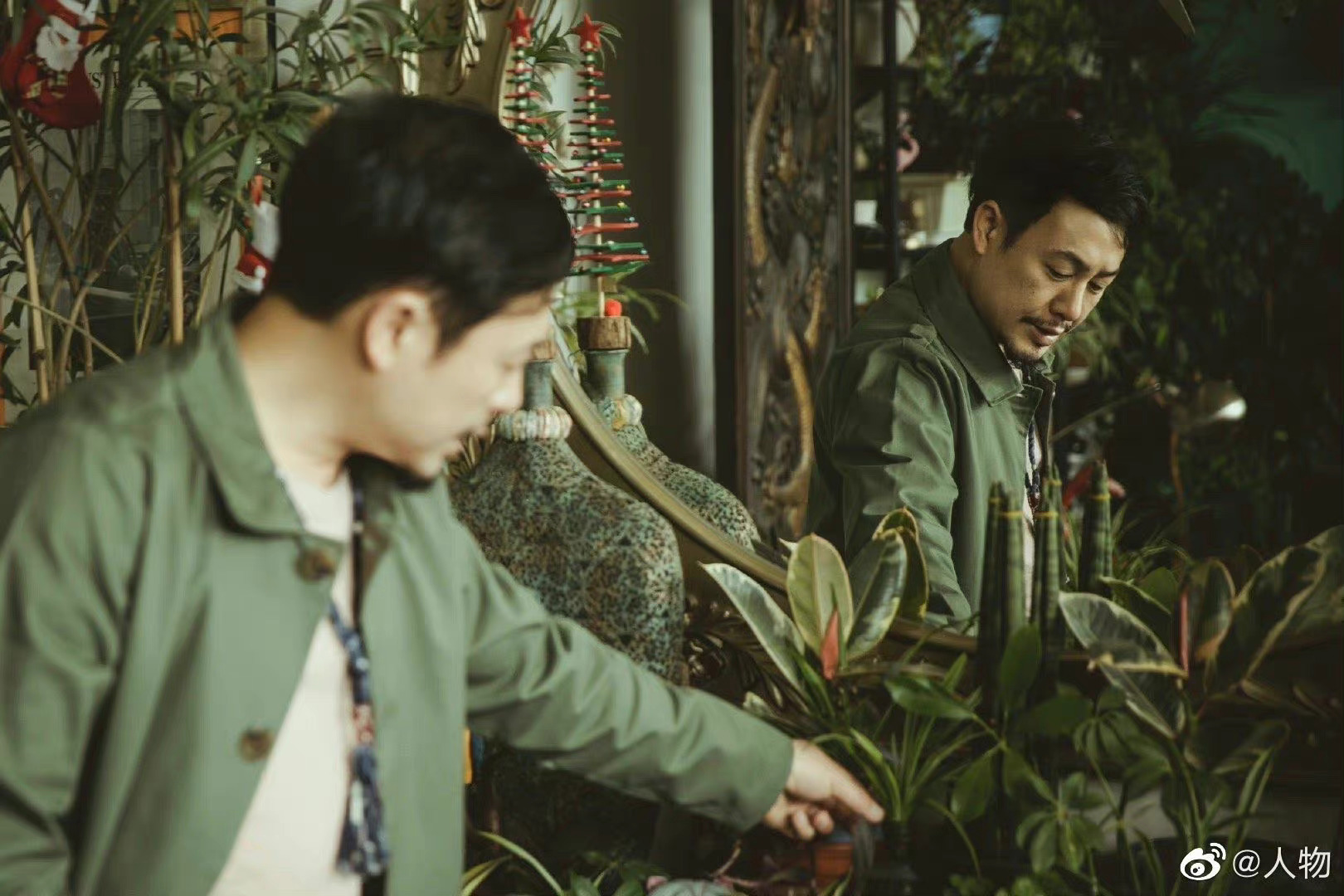 张颂文的农家院 绿植花卉满院真的好美啊，是羡慕的农家院没错了__财经头条