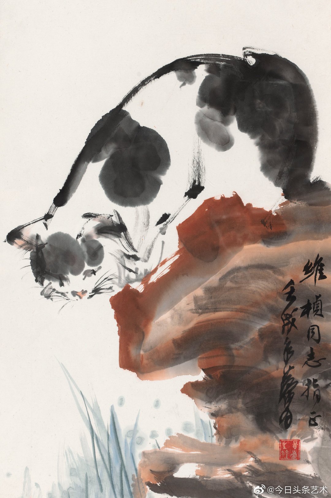画家黄胄画猫