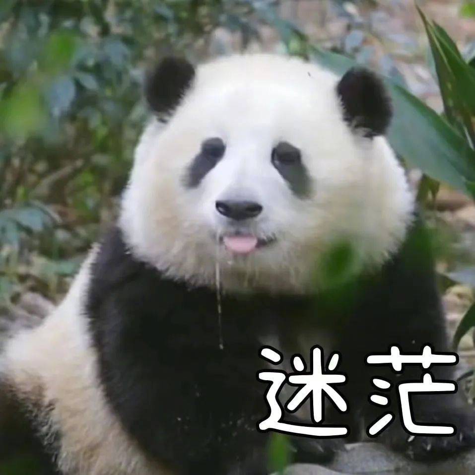 表情包 | 你是一只傻狗 拿图点赞、吱声__财经头条
