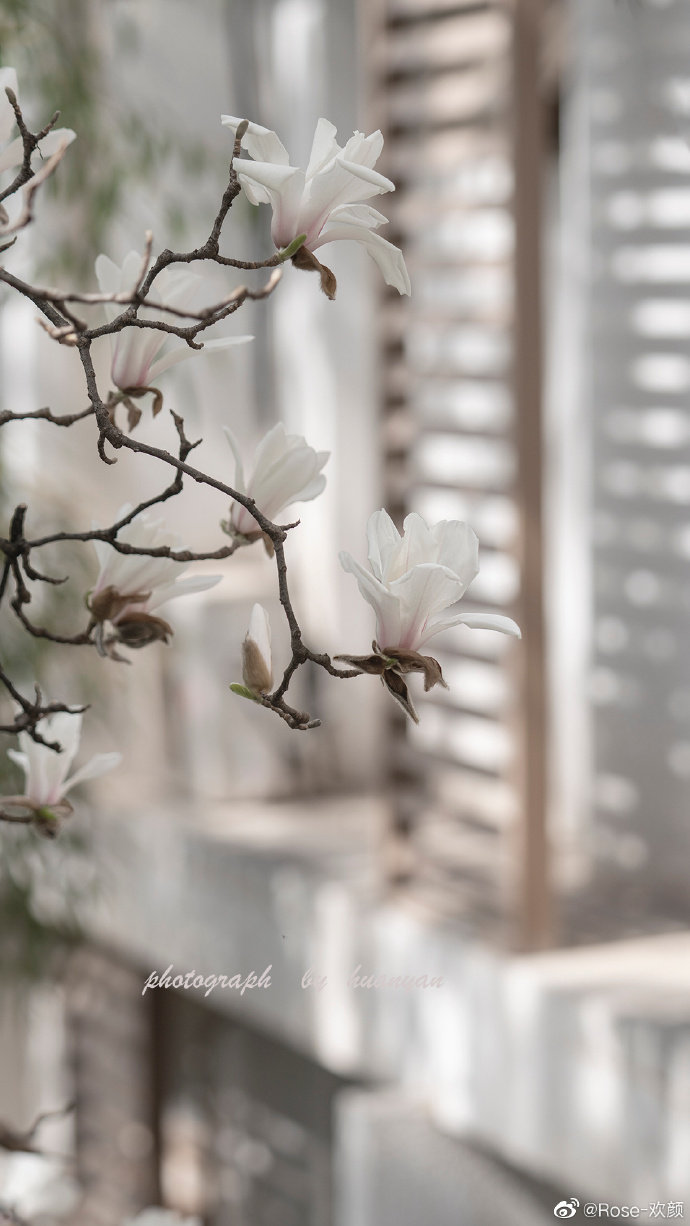 南京艺术学院求学纪实,大三生活的艺术探索与实践