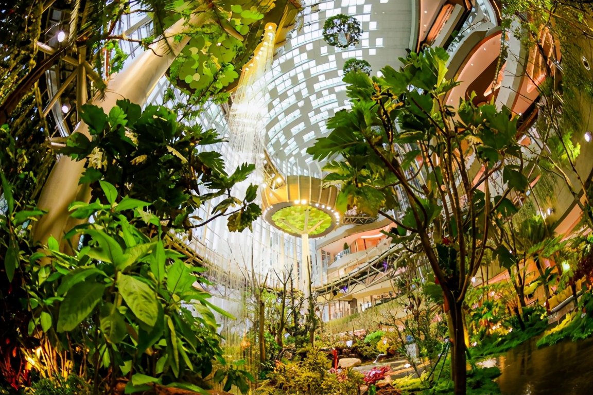 室内植物园亮相重庆—"与生活·共生长"重庆光环购物公园开幕