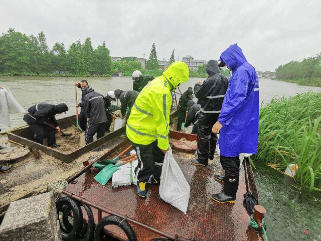 圖為千燈鎮基層黨組織和黨員幹部在大唐村蘆橫頭加高堤防(張靜 攝)