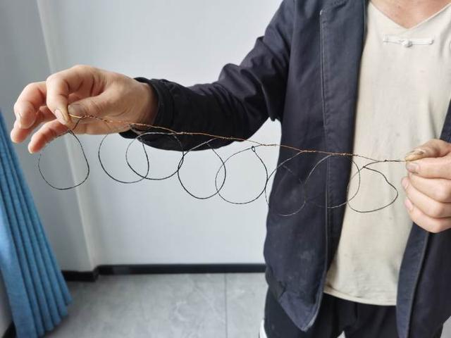 用鸟语诱捕画眉鸟被抓杭州一男子这下麻烦大了