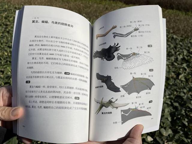邢立达：当人类结合了动物的优势，身体会出现什么变化呢？休闲区蓝鸢梦想 - Www.slyday.coM