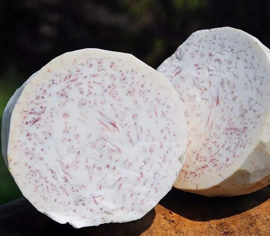 霜降后，是最补的15天，想要补气血，从这2方面入手休闲区蓝鸢梦想 - Www.slyday.coM