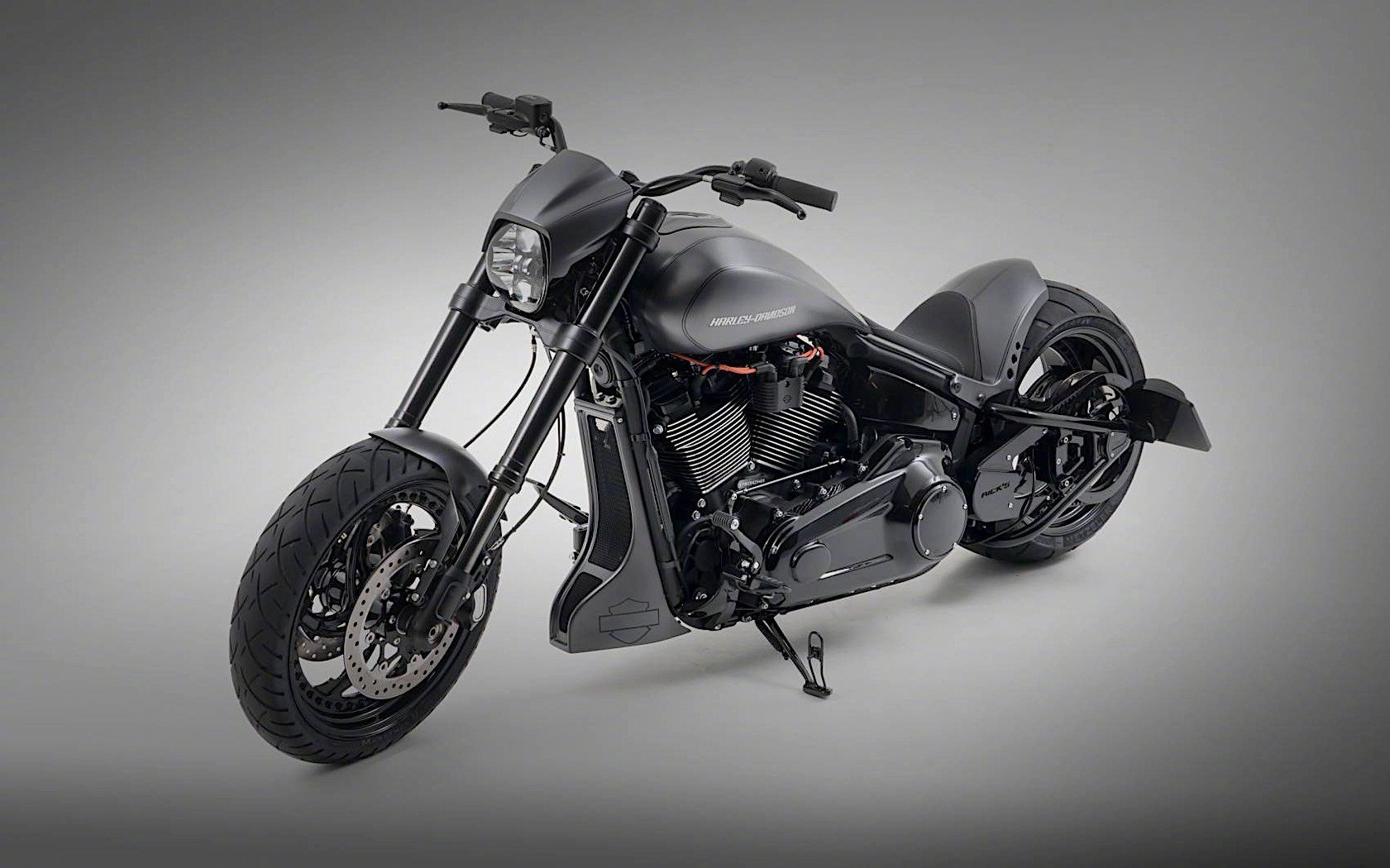 哈雷戴维森harleydavidsoncurvequeen