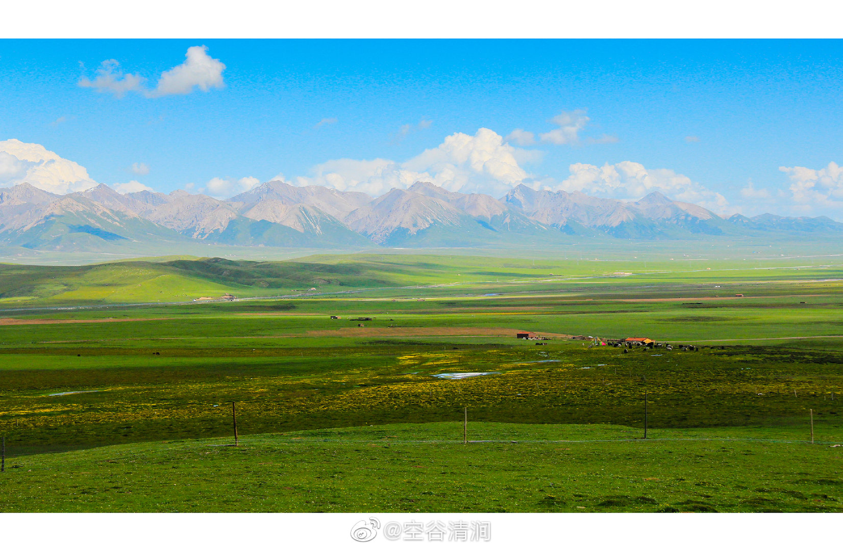 遇见青海刚察草原