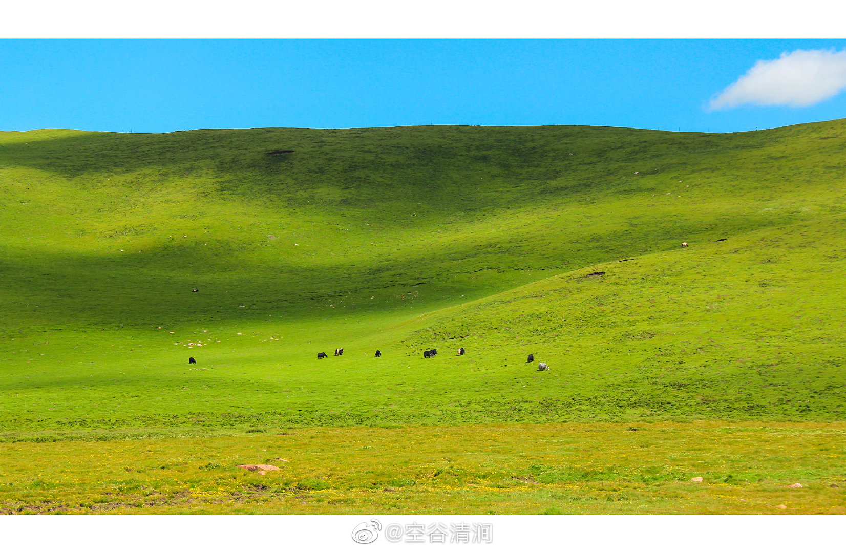 遇见青海刚察草原