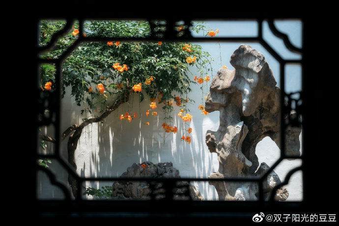 苏州各大园林花窗集 | 花窗与花