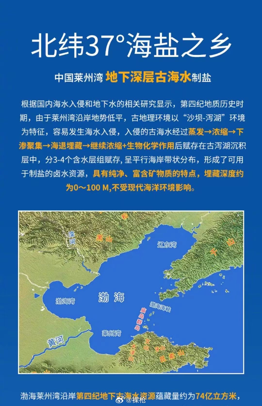 虽非未卜先知,却是早已上架……|鲁晶|竹盐|雪天_新浪新闻