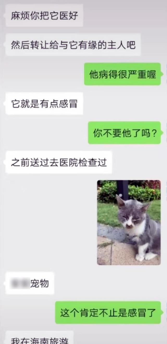 猫咪患猫传腹被遗弃,主人竟在外地旅游,多亏了这群好心人!休闲区蓝鸢梦想 - Www.slyday.coM 猫咪患猫传腹被遗弃,主人竟在外地旅游,多亏了这群好心人!休闲区蓝鸢梦想 - Www.slyday.coM