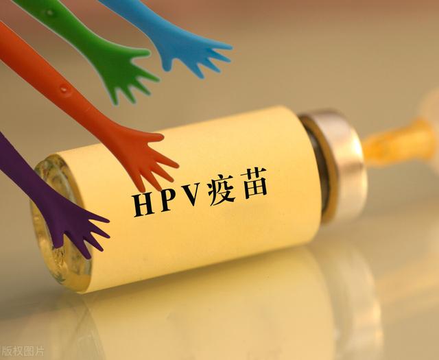 警惕“杀鱼盘”！九价HPV疫苗代预约骗局休闲区蓝鸢梦想 - Www.slyday.coM