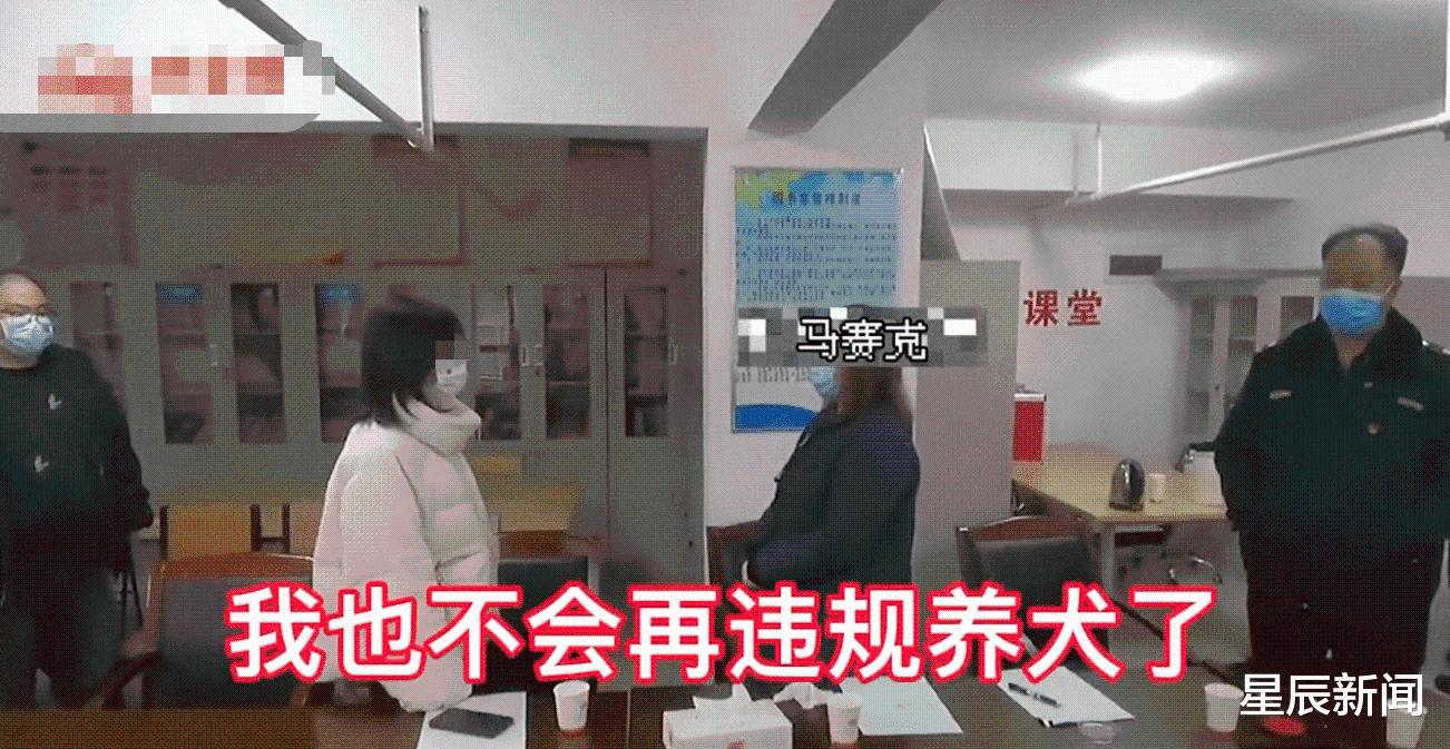 女子遛6只大型犬不拴绳，致一只小狗被咬死，小狗主人：曾多次扑人休闲区蓝鸢梦想 - Www.slyday.coM