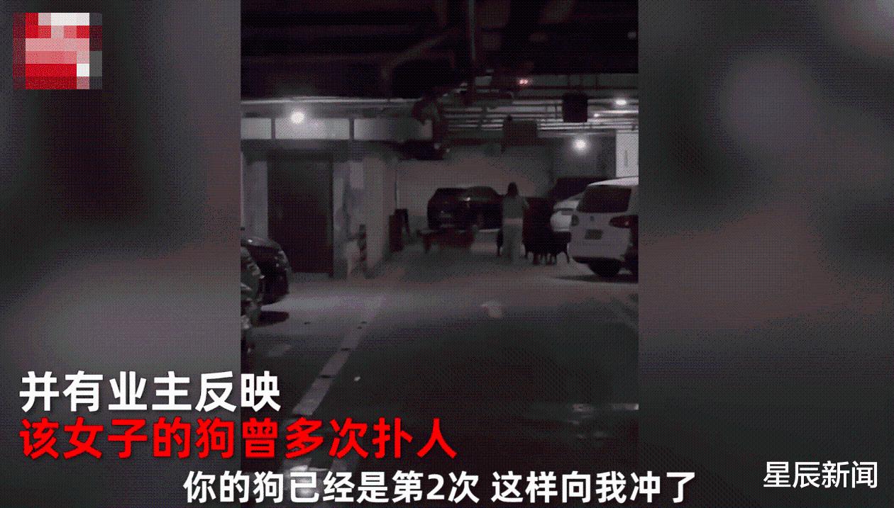 女子遛6只大型犬不拴绳，致一只小狗被咬死，小狗主人：曾多次扑人休闲区蓝鸢梦想 - Www.slyday.coM