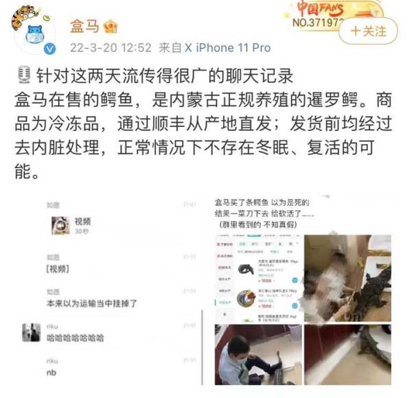 太吓人！网传送到家的鳄鱼被砍后复活？盒马最新回应……休闲区蓝鸢梦想 - Www.slyday.coM