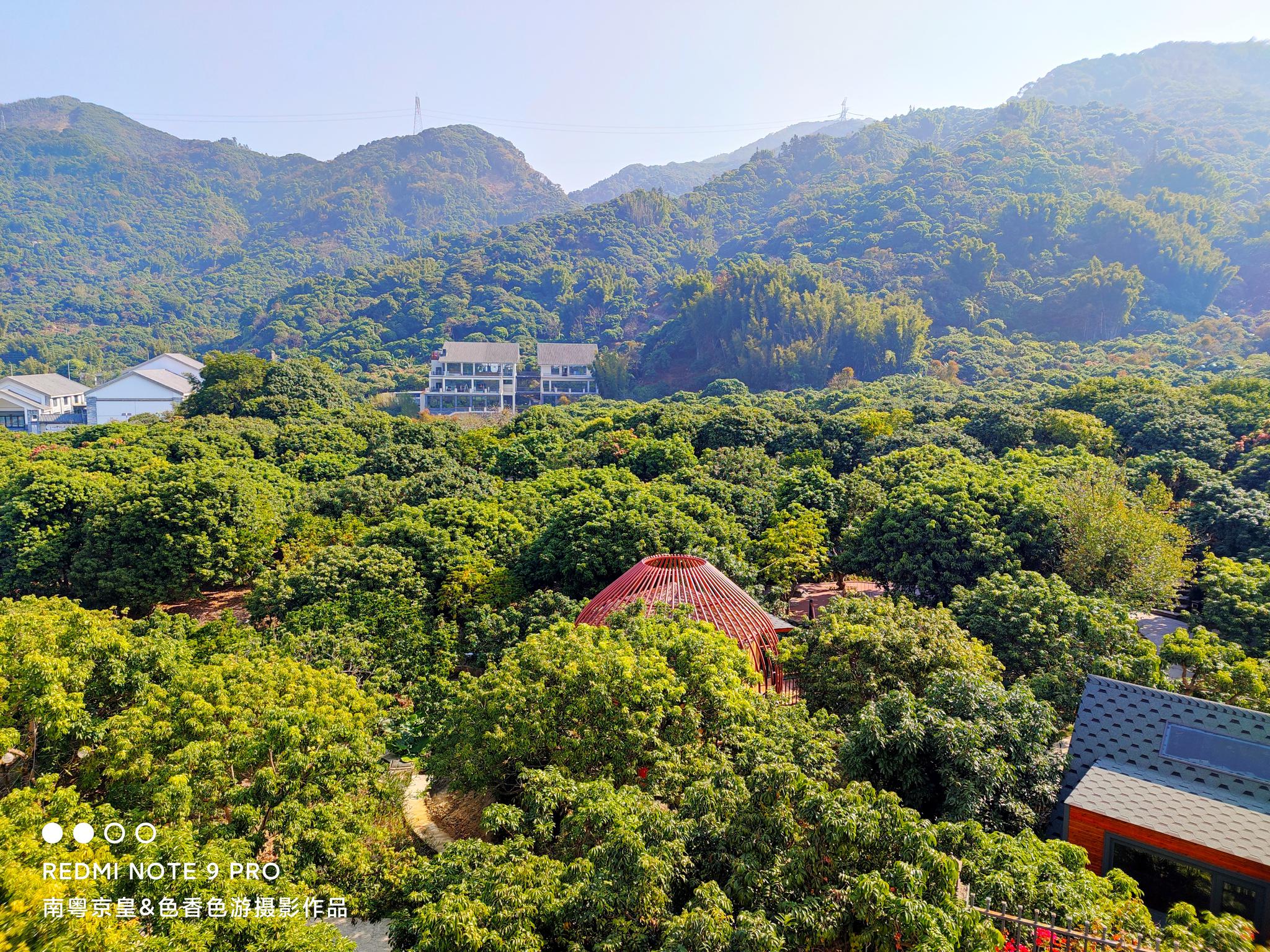 有致是什么意思