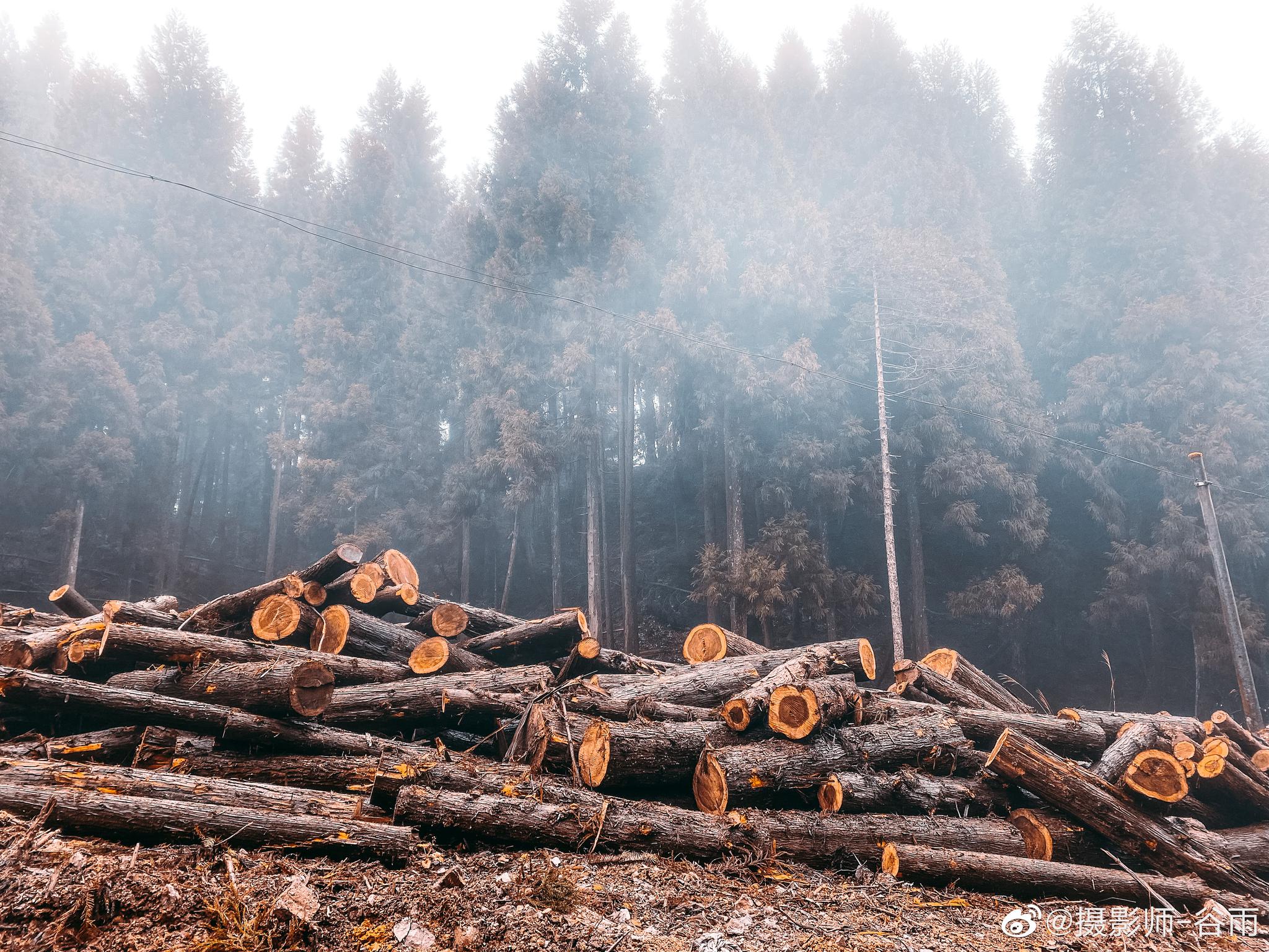 "伐木工人"上线,就地取材