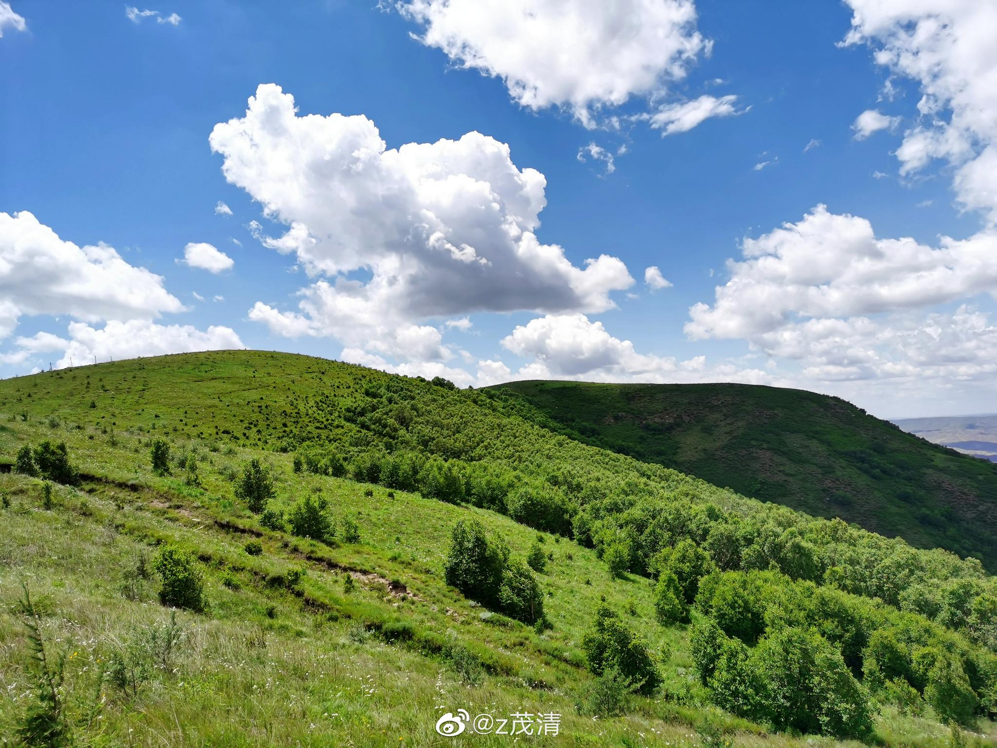 敕勒川高山草原_高清图集_新浪网