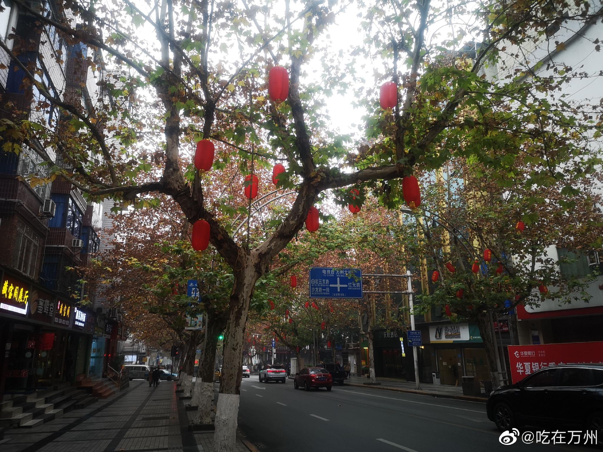 万州白岩路年味儿太浓了,梧桐树上挂上满了鲜艳的红灯笼……_高清图集