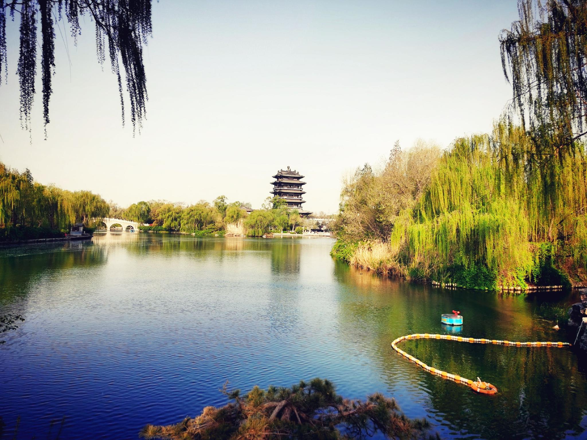 大明湖的早晨_高清图集_新浪网