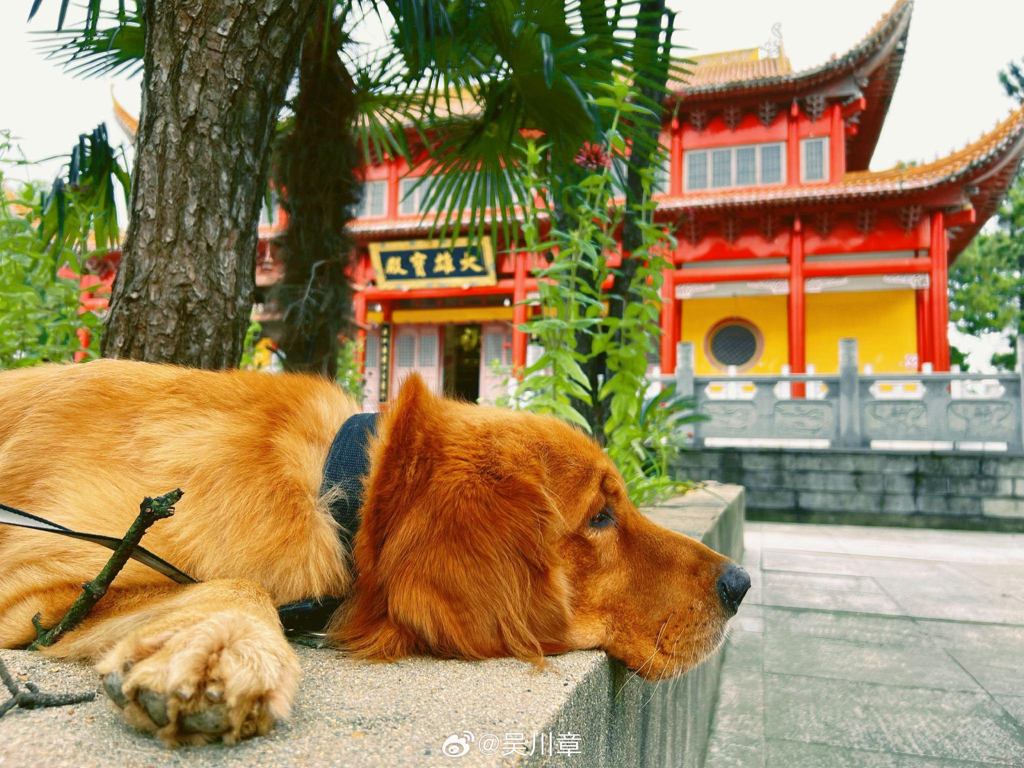 应城附近的500一次真的可以约吗