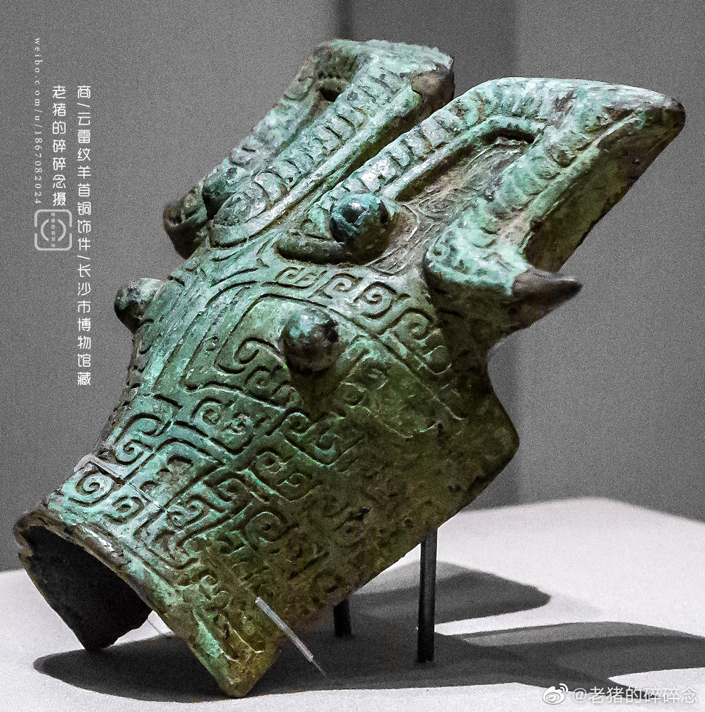 青铜器上的动物世界|羊咩咩_高清图集_新浪网