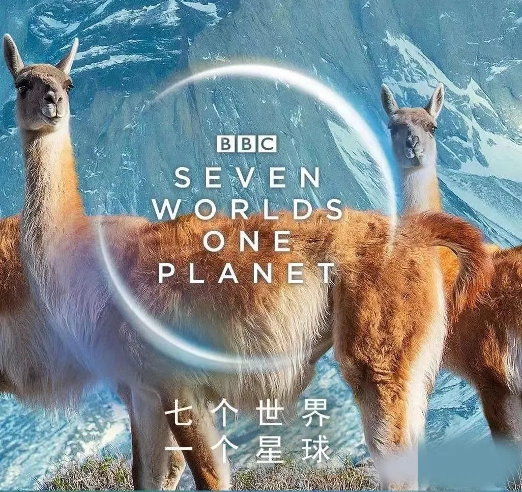 法然上人制诫与修净土的教义 临终祥瑞与论义的珍贵记载