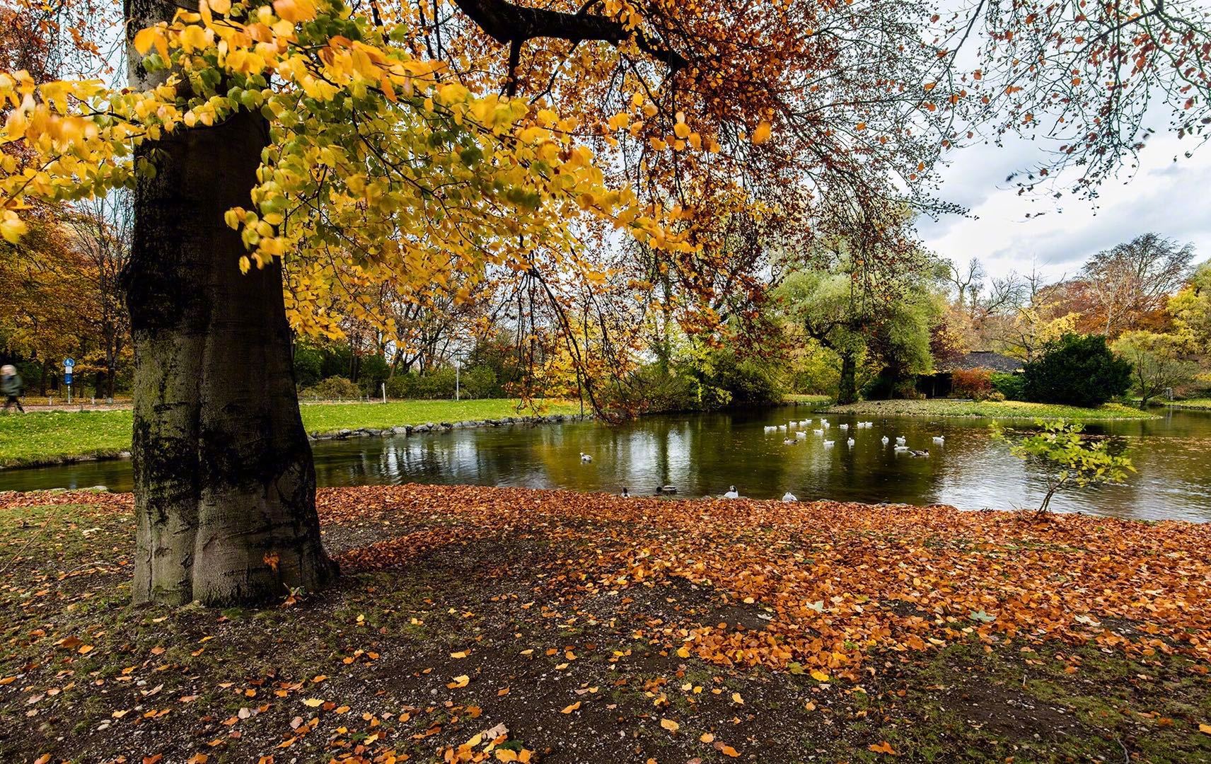 慕尼黑英国花园丨位于伊萨尔河畔……__财经头条