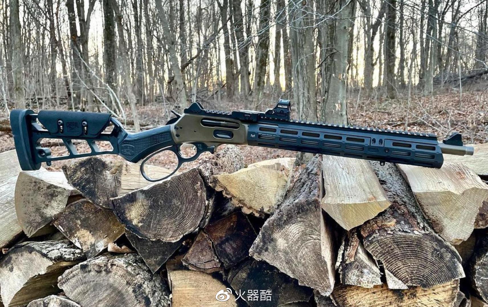 【老树新花】战术魔改版杠杆步枪美图欣赏