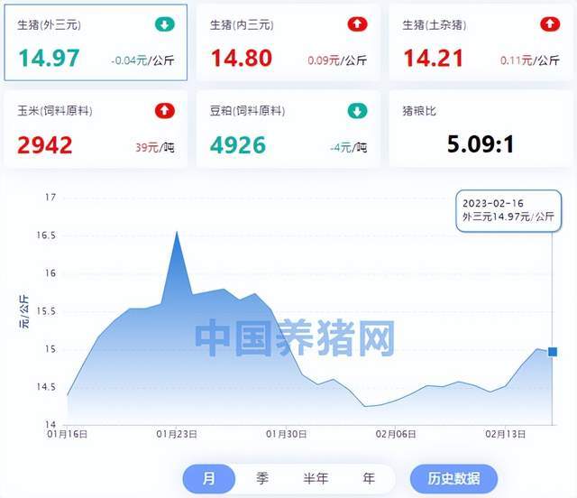 0.05元1000 (0.05元1)-初仟社区