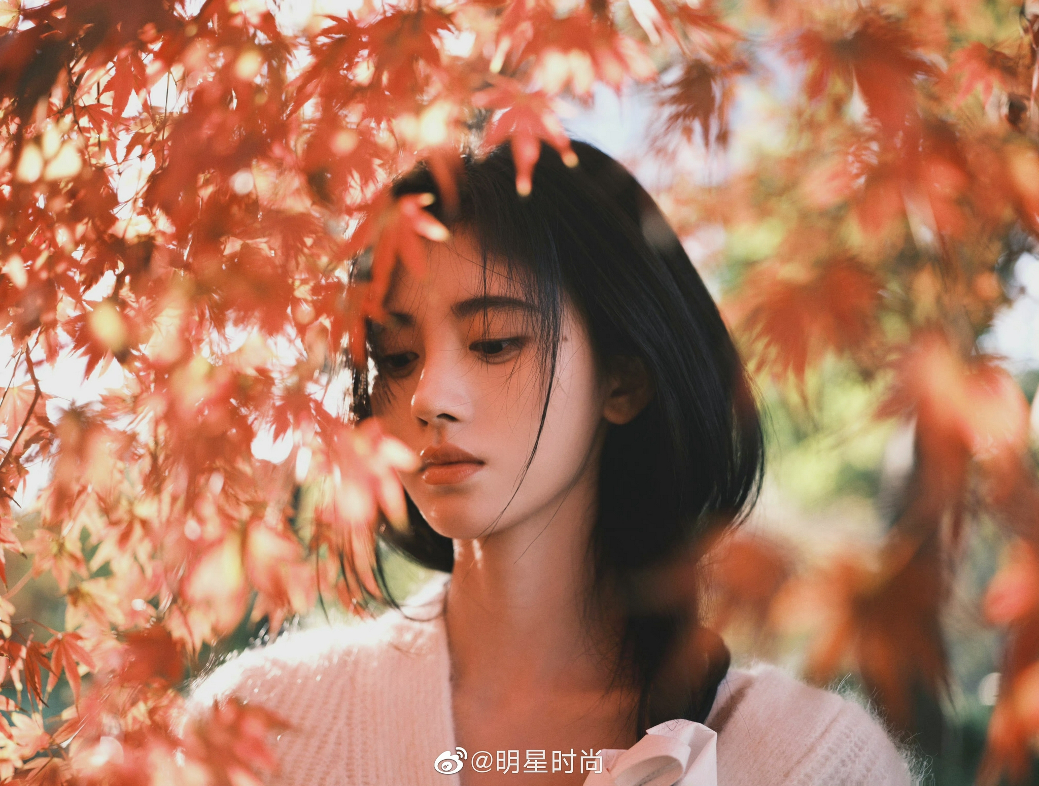 这组秋冬枫叶大片好好看啊,有种清新脱俗的校园女神范～_高清图集