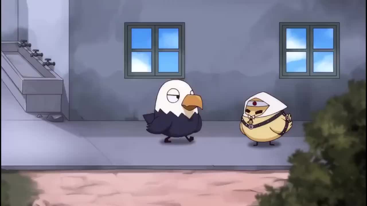 脚盆鸡总想赢得兔子为赢回尊重联合鹰酱