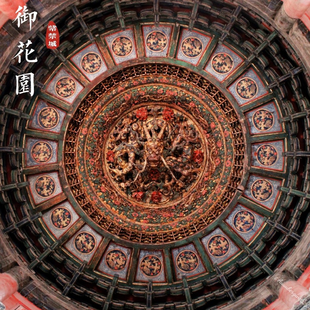 朱门金殿乱人眼,千回百转终有尽🍁