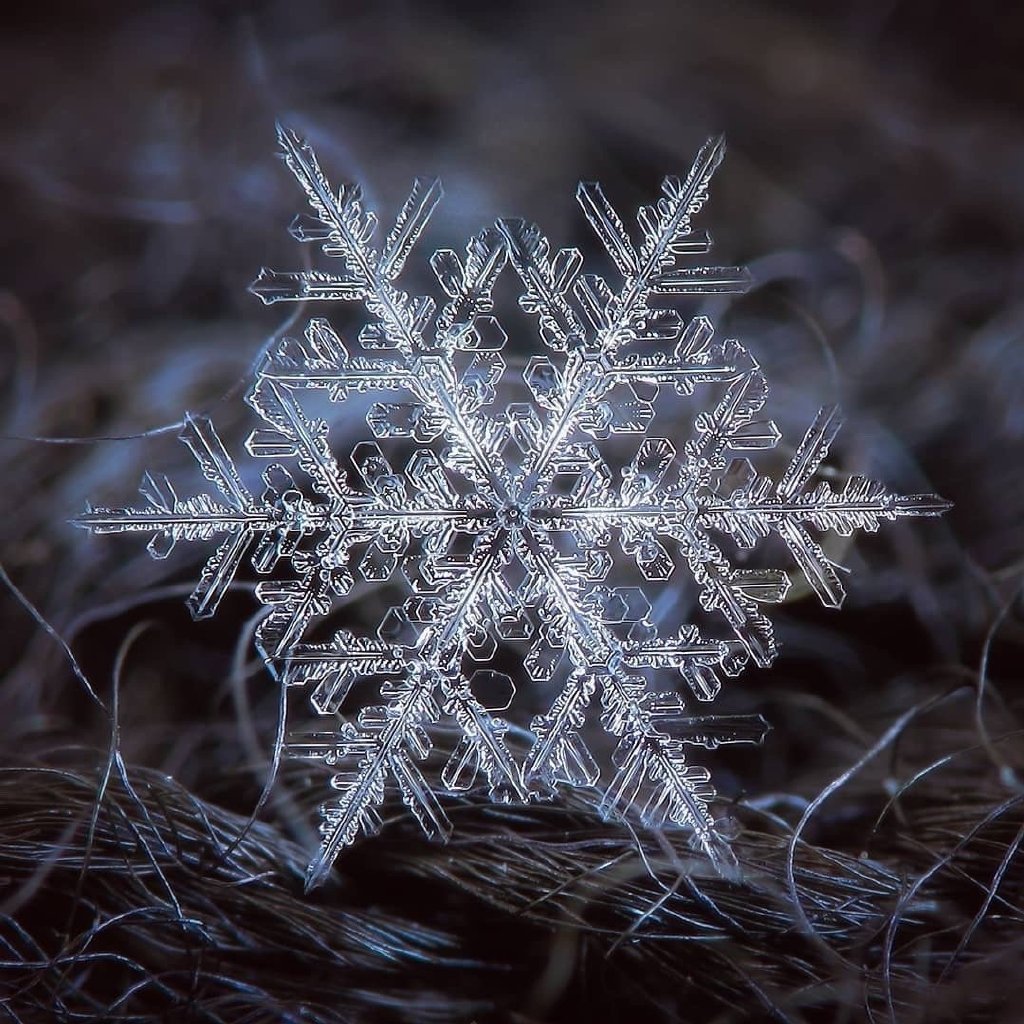 微距镜头下的绝美雪花 15 图.