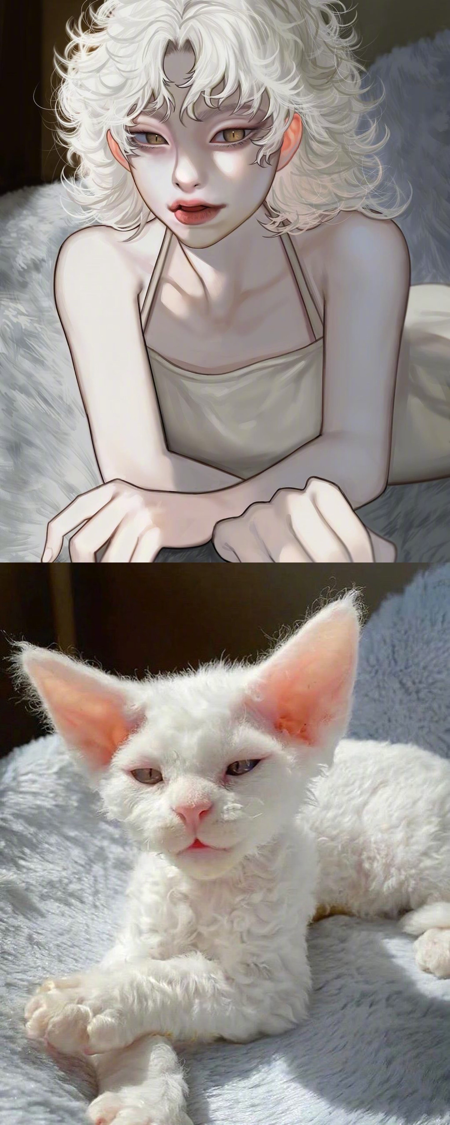 画师kangcono将一些网红猫猫进行了拟人化创作