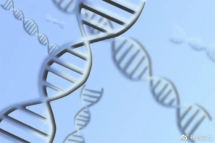 DNA技术是如何克服阻挠破解连环杀人案?...