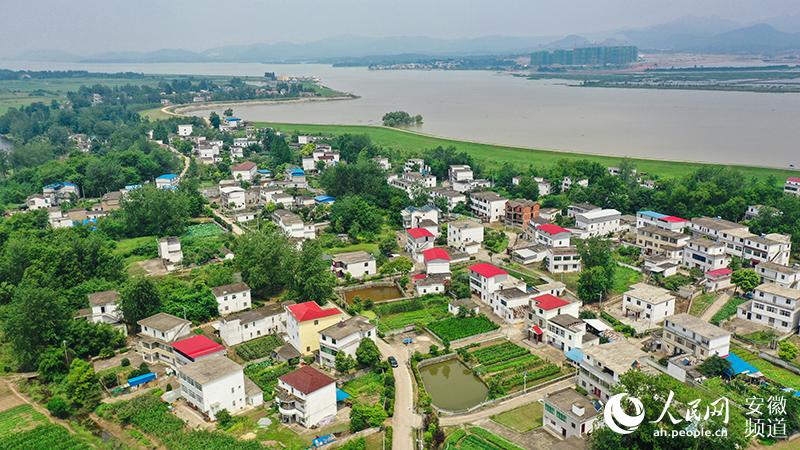 安庆大观:"老市里"的乡村振兴路|人民网|海口镇|大观区_新浪新闻