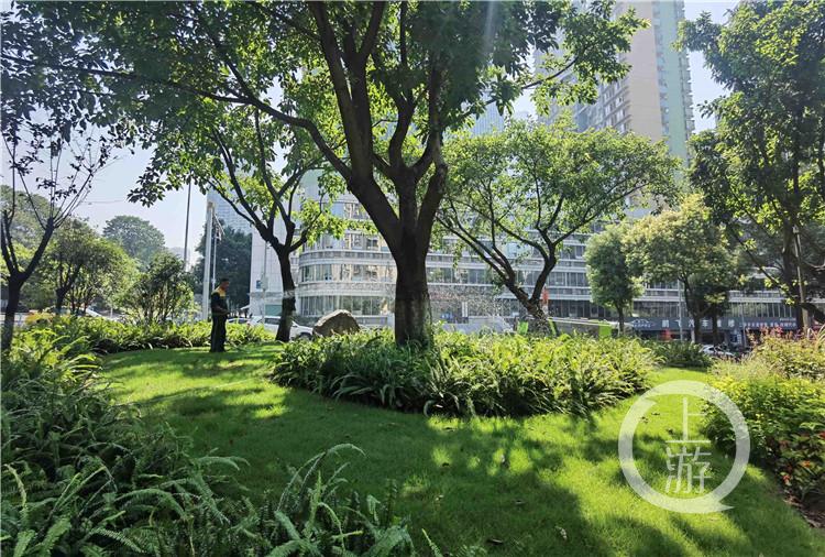 发现重庆之美丨江北五简路边角地大变身！这里是花园更是乐园休闲区蓝鸢梦想 - Www.slyday.coM