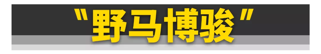 这11款车都不认识，还好意思说自己是“真车迷”？