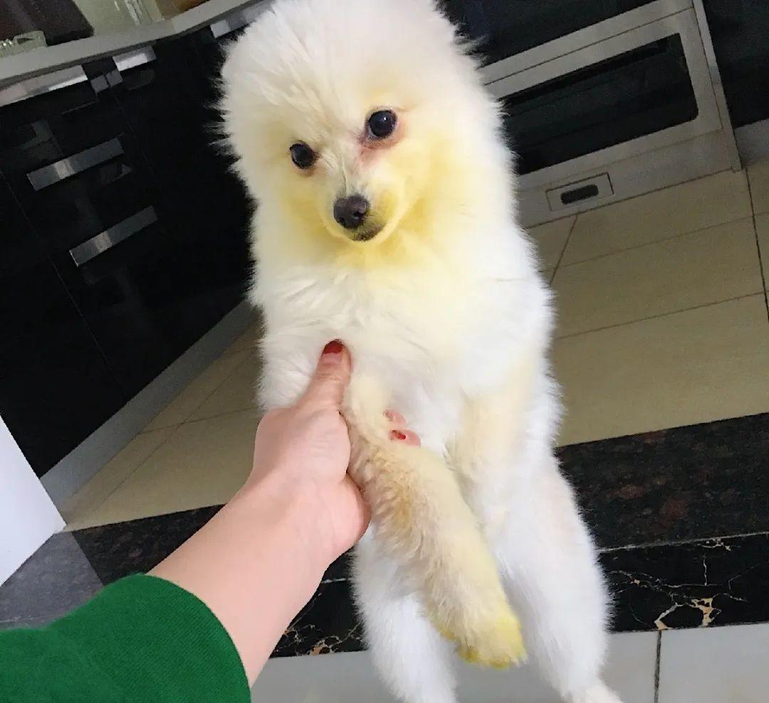 家门口的有毒花，千万别乱碰，有小孩的注意！休闲区蓝鸢梦想 - Www.slyday.coM