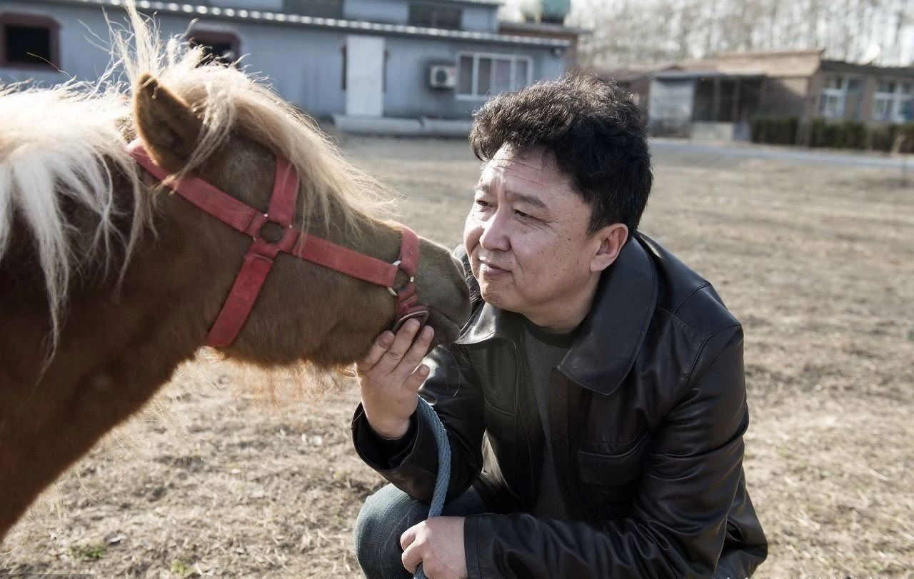 买4万平豪宅做马场,一年花费上百万养马