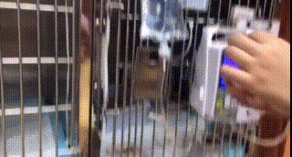 猫咪患猫传腹被遗弃,主人竟在外地旅游,多亏了这群好心人!休闲区蓝鸢梦想 - Www.slyday.coM 猫咪患猫传腹被遗弃,主人竟在外地旅游,多亏了这群好心人!休闲区蓝鸢梦想 - Www.slyday.coM