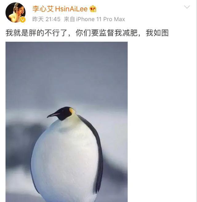 李心艾减肥失败胖成肥婆曾是周杰伦最美女主身材颜值不输昆凌