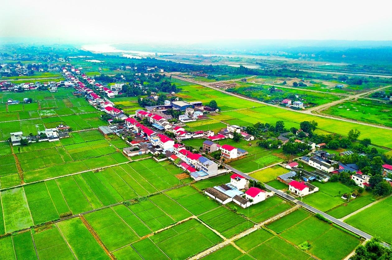 四川三台打造五化现代农业助力乡村振兴