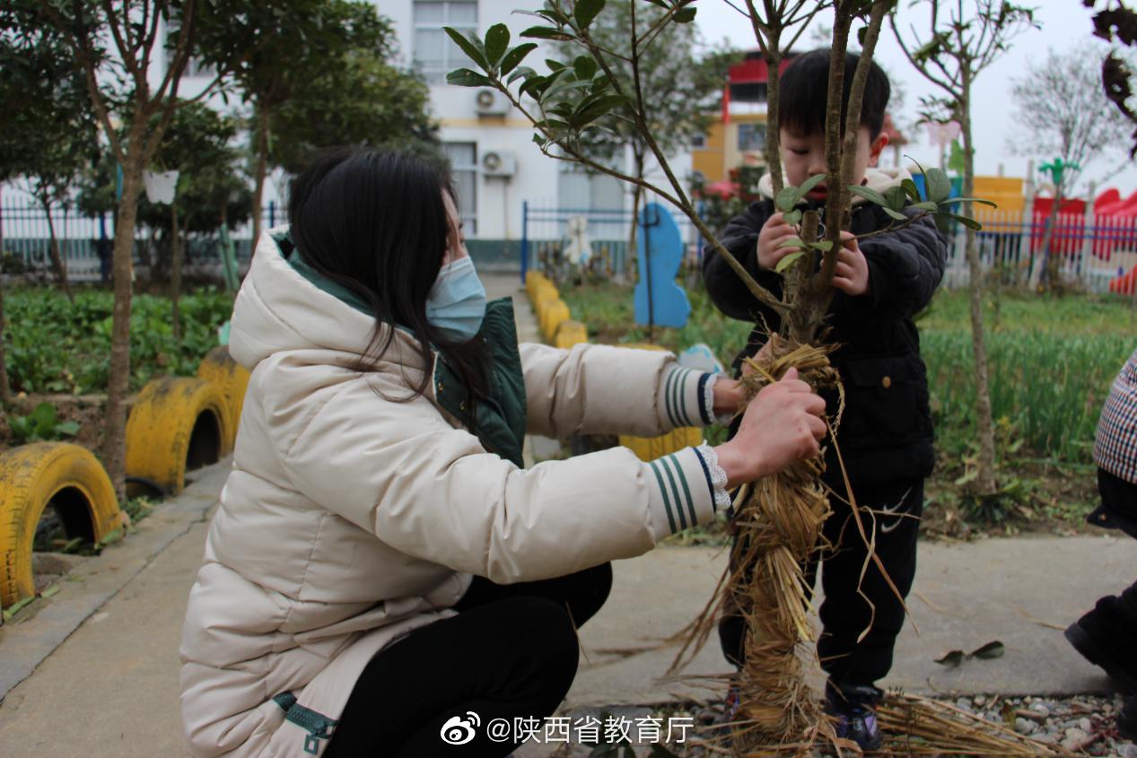 亲子齐动手,为小树"穿衣"御寒_高清图集_新浪网