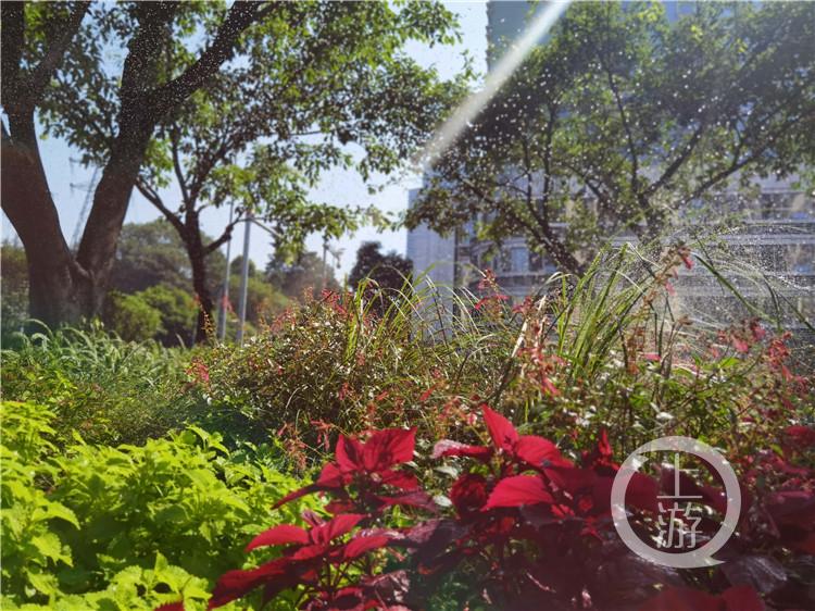 发现重庆之美丨江北五简路边角地大变身！这里是花园更是乐园休闲区蓝鸢梦想 - Www.slyday.coM