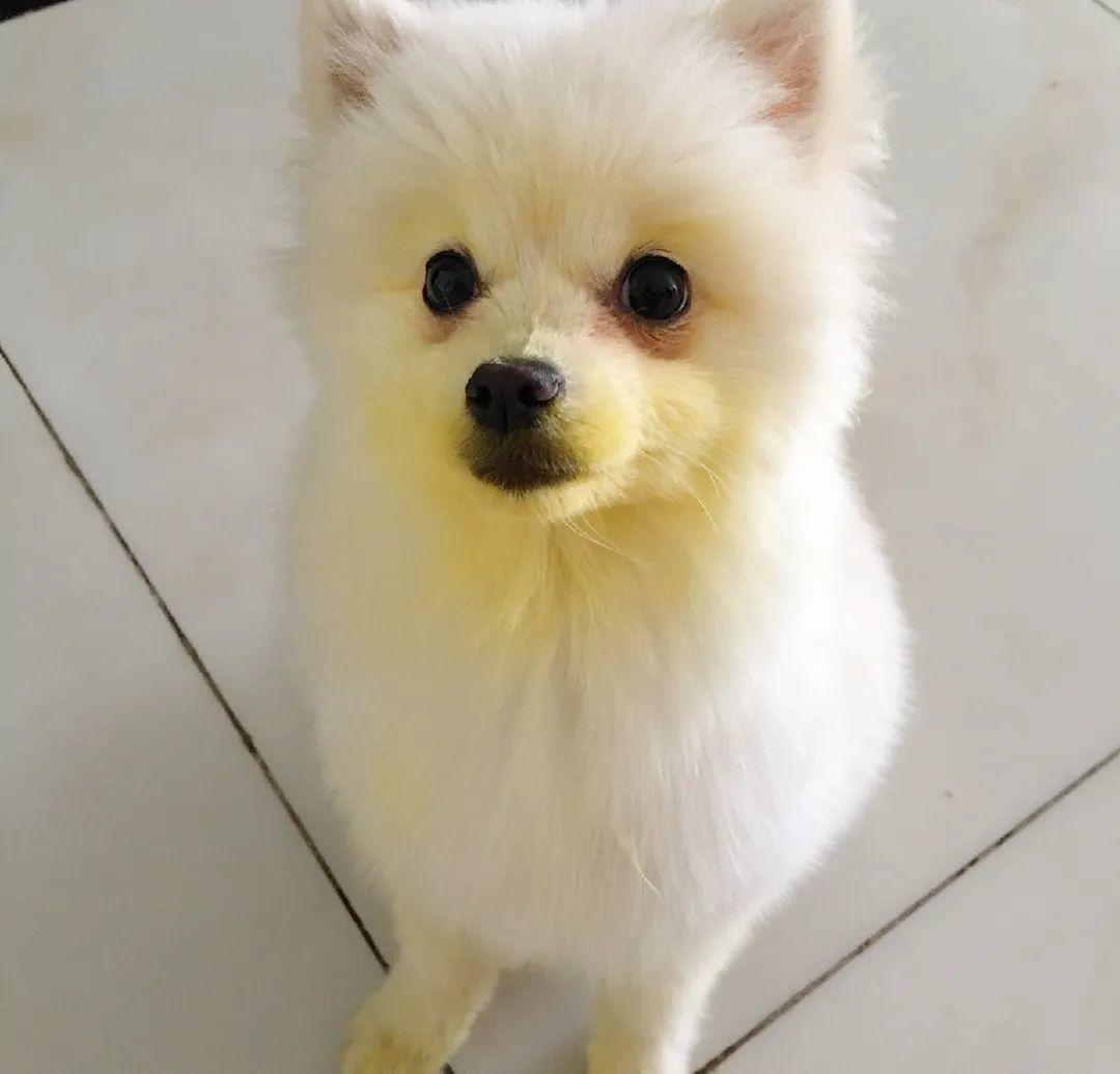 家门口的有毒花，千万别乱碰，有小孩的注意！休闲区蓝鸢梦想 - Www.slyday.coM