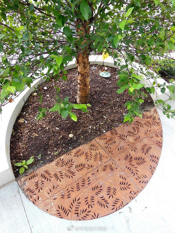 景观树池设计参考_高清图集_新浪网